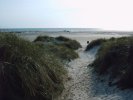 Blick von der Düne auf den Strand