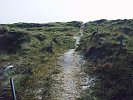 Der Weg von unserer Terrasse zum Strand